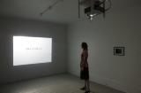 Digital image IRC.2012.05268 showing Bea McMahon's installation, InDivisible, at the Mattress Factory, 2010.