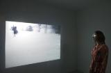 Digital image IRC.2012.05275 showing Bea McMahon's installation, InDivisible, at the Mattress Factory, 2010.
