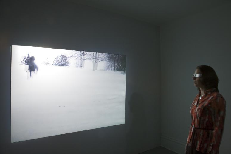 Digital image IRC.2012.05275 showing Bea McMahon's installation, InDivisible, at the Mattress Factory, 2010.