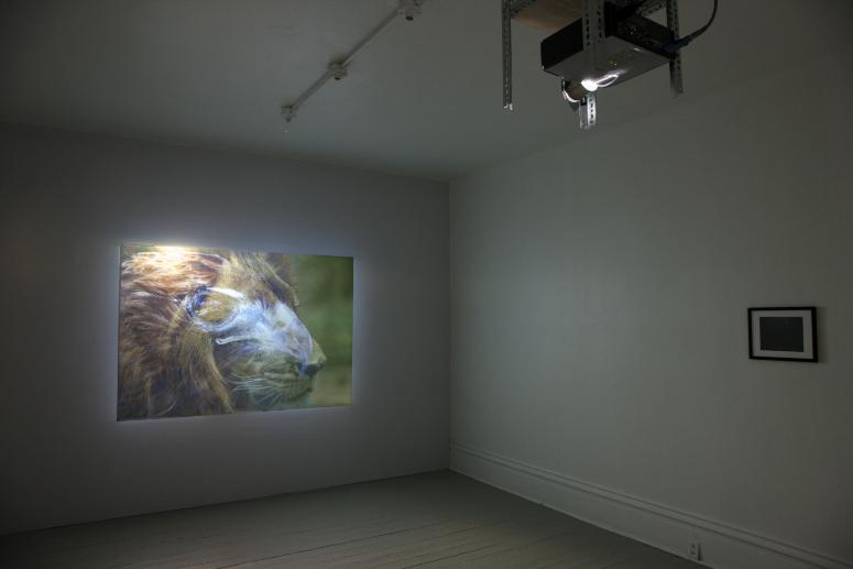 Digital image IRC.2012.05288 showing Bea McMahon's installation, InDivisible, at the Mattress Factory, 2010.
