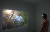 Digital image IRC.2012.05274 showing Bea McMahon's installation, InDivisible, at the Mattress Factory, 2010.