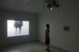 Digital image IRC.2012.05269 showing Bea McMahon's installation, InDivisible, at the Mattress Factory, 2010.