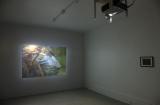 Digital image IRC.2012.05288 showing Bea McMahon's installation, InDivisible, at the Mattress Factory, 2010.
