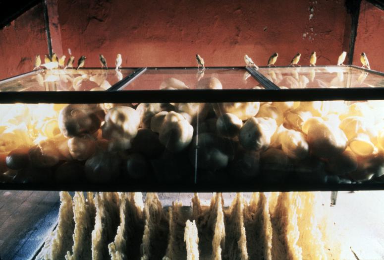 Digital image IRC.2012.05088 showing Ann Hamilton's installation, Offering, at the Mattress Factory, 1991.