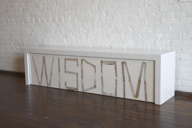 Digital image IRC.2012.04446 showing Anita Dube's installation, 5 Words, at the Mattress Factory, 2007.