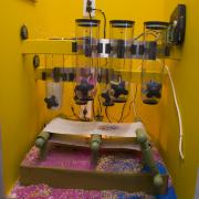 Digital image IRC.2012.04481 showing Betsy James DiSalvo's installation, The Productivity Paradox and the Cupcake Robot, at the Mattress Factory, 2008.