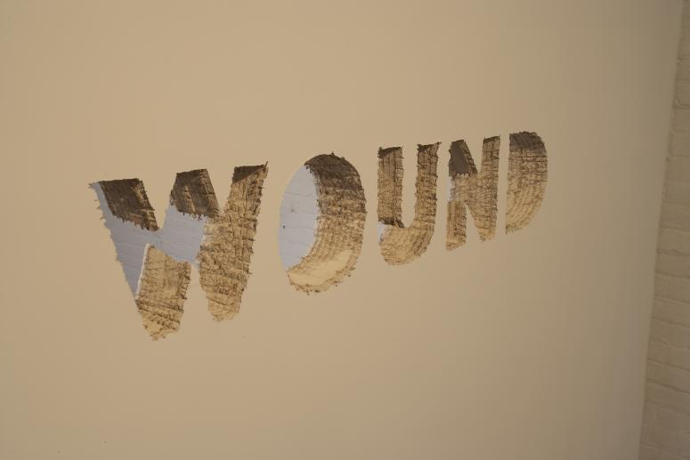 Digital image IRC.2012.04420 showing Anita Dube's installation, 5 Words, at the Mattress Factory, 2007.