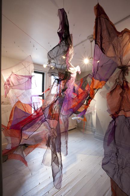 Digital image IRC.2012.04308 showing Amber Coppings's installation, Echoes of Objects, at the Mattress Factory, 2009.