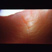 Digital image IRC.2012.04120 showing Danny Bracken's installation, What You Can See from the Light, at the Mattress Factory, 2010.