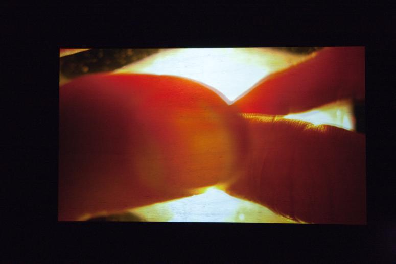 Digital image IRC.2012.04122 showing Danny Bracken's installation, What You Can See from the Light, at the Mattress Factory, 2010.