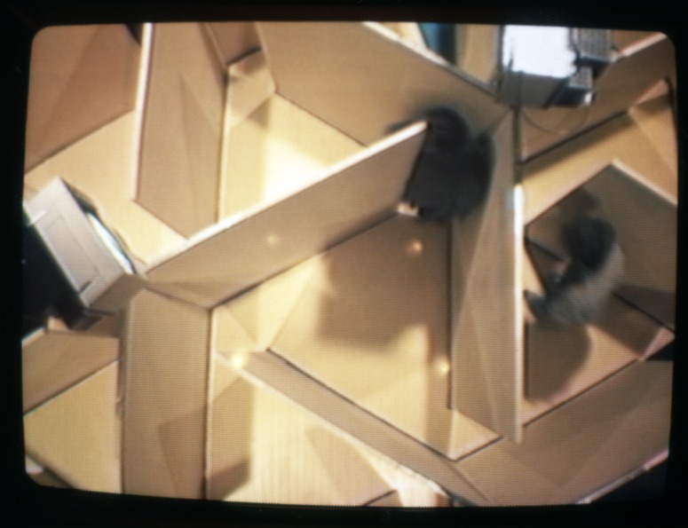 slide IRC.2012.03670 (old number: SCH.B-T008) showing Buky Schwartz's installation, Three Angles of Coordination for Monitoring the Labyrinthian Space, at the Mattress Factory, 1986.