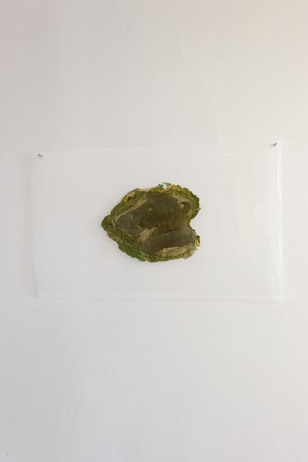 Digital image IRC.2012.03821 showing Sue Abramson's installation, Abramson Family Crest, at the Mattress Factory, 2011.