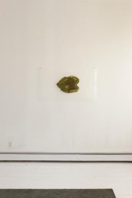 Digital image IRC.2012.03817 showing Sue Abramson's installation, Abramson Family Crest, at the Mattress Factory, 2011.