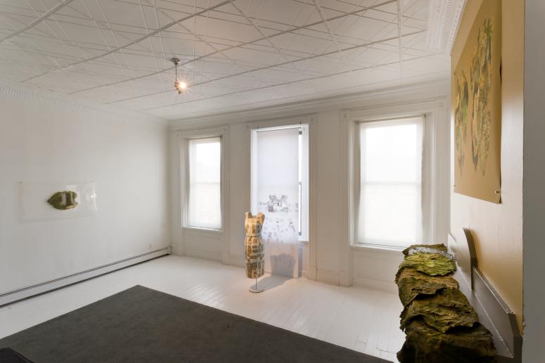 Digital image IRC.2012.03819 showing Sue Abramson's installation, Abramson Family Crest, at the Mattress Factory, 2011.