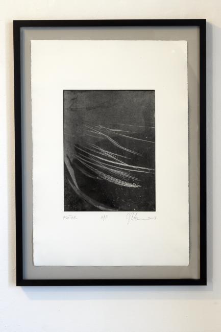 Digital image IRC.2012.06837 showing John Carson's etching, Avatar, at the Mattress Factory, 2008.