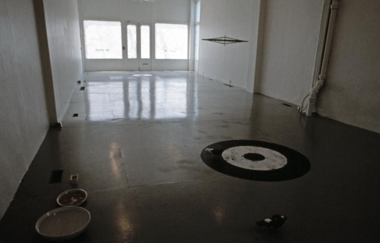 slide IRC.2012.00540 (old number: BRA.D-P008) showing Dove Bradshaw's installation, Plain Air, at the Mattress Factory, 1990.