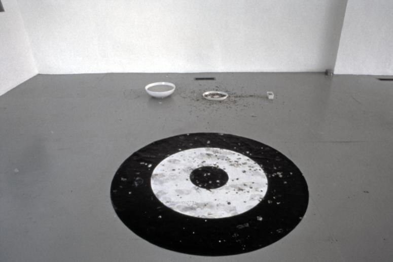 slide IRC.2012.00542 (old number: BRA.D-P010) showing Dove Bradshaw's installation, Plain Air, at the Mattress Factory, 1990.