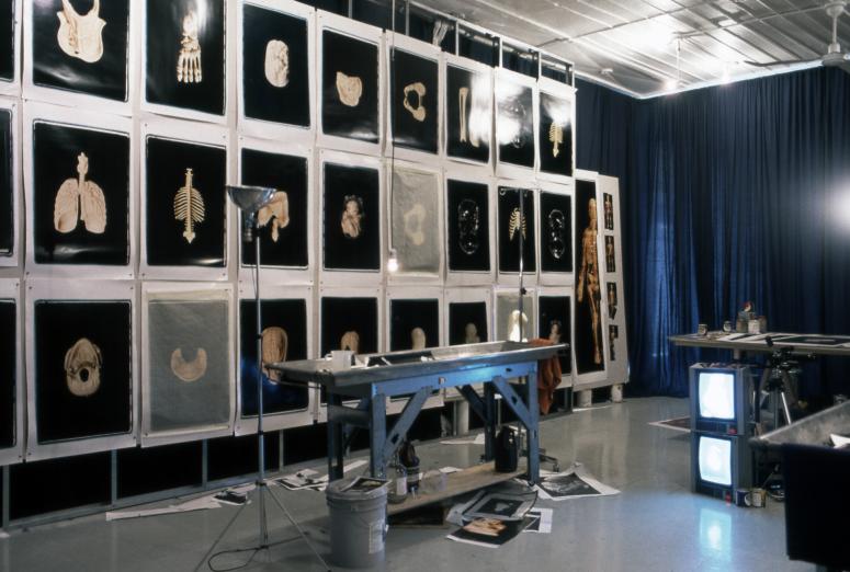 slide IRC.2012.00429 (old number: BEC.R-E006) showing Robert Beckman's 1994 installation, Examination.