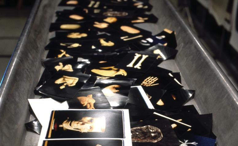 slide IRC.2012.00455 (old number: BEC.R-E032) showing Robert Beckman's installation, Examination, at the Mattress Factory, 1994.