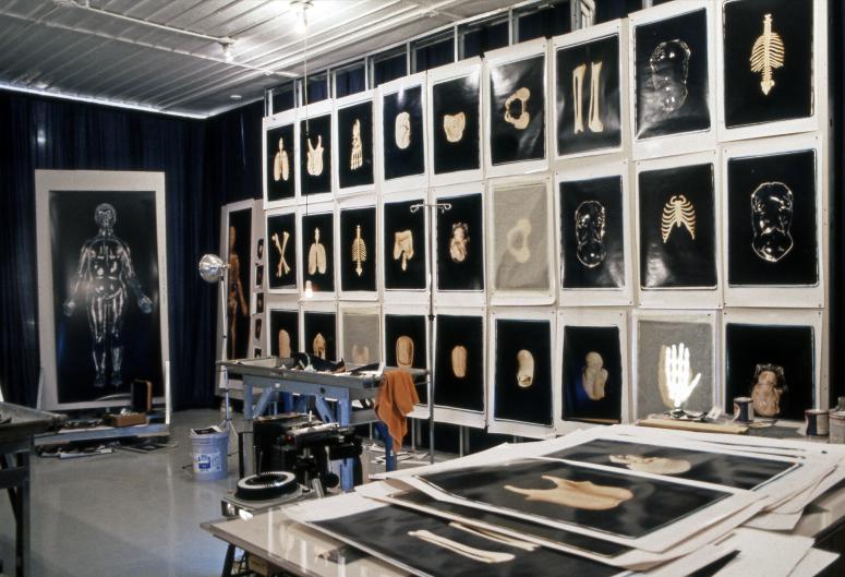 slide IRC.2012.00436 (old number: BEC.R-E013) showing Robert Beckman's installation, Examination, at the Mattress Factory, 1994.