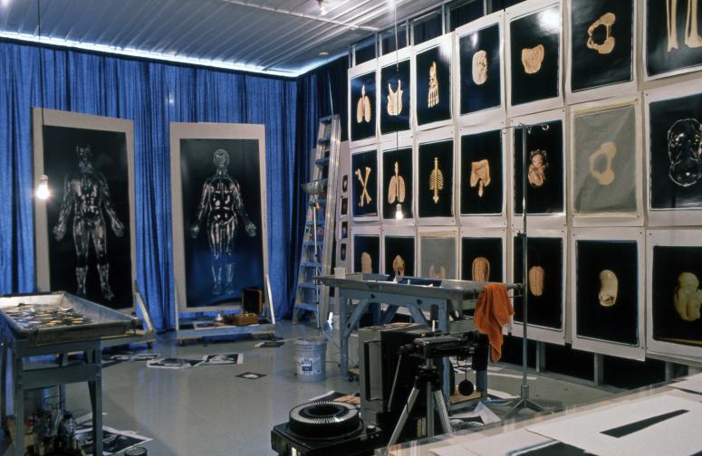 slide IRC.2012.00442 (old number: BEC.R-E019) showing Robert Beckman's installation, Examination, at the Mattress Factory, 1994.