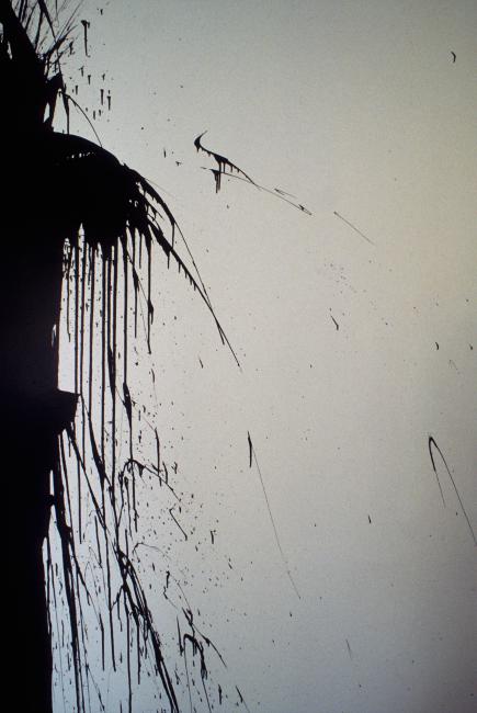 slide IRC.2012.00109 (old number: ANA.W-OT005) showing William Anastasi's One Gallon High Gloss Industrial Enamel, Thrown installation at the Mattress Factory, 1989.