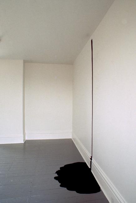 slide IRC.2012.00103 (old number: ANA.W-OP006) showing William Anastasi's One Gallon High Gloss Industrial Enamel, Poured on an Incision installation at the Mattress Factory, 1989.