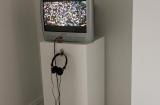 Digital image IRC.2012.06778 showing Nouran Sherif and Wendy Osher's installation, Swarm, at the Mattress Factory, 2011.