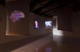 Digital image IRC.2013.04386 showing Loraine Leeson's video installation, Active Energy: Pittsburgh, at the Mattress Factory, 2012.