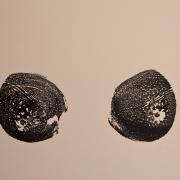 Digital image IRC.2013.04202 showing Julia Cahill's installation, Breasts in the Press, at the Mattress Factory, 2012.