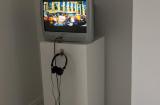 Digital image IRC.2012.06776 showing Nouran Sherif and Wendy Osher's installation, Swarm, at the Mattress Factory, 2011.