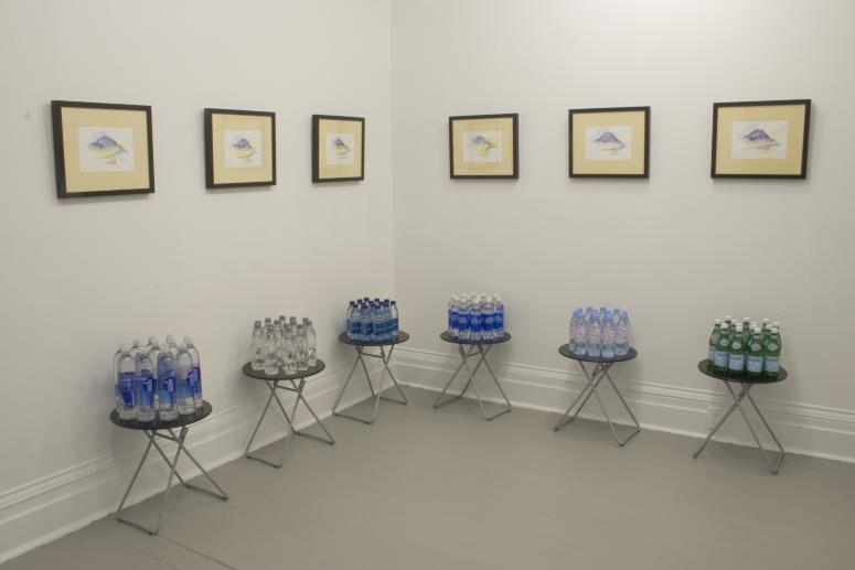 Digital image IRC.2013.03810 showing Brian Lang's installation, After A. W. Hunt, at the Mattress Factory, 2006.