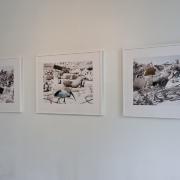 Digital image IRC.2013.03133 showing Susanne Slavick&#39;s works, Springtime in Alexandria IV [left], Springtime in Alexandria III [middle], and Springtime in Alexandria V [right], at the Mattress Factory, 2011.