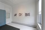 Digital image IRC.2013.03131 showing Susanne Slavick's works, Springtime in Alexandria IV [left], Springtime in Alexandria III [middle], and Springtime in Alexandria V [right], at the Mattress Factory, 2011.
