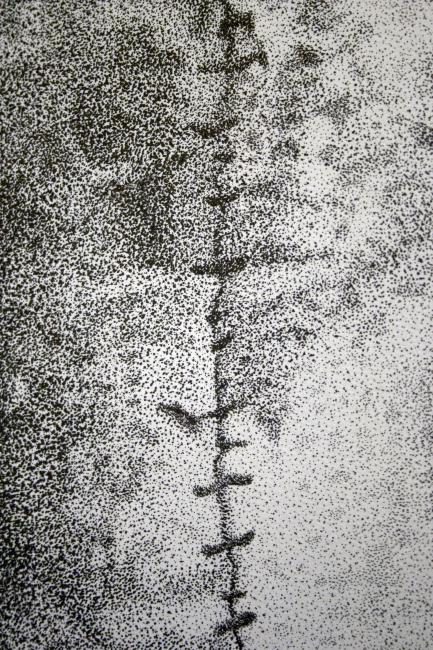 Digital image IRC.2013.03036 showing Charles Benefiel's installation, Hygienic Toys #4, #1, #6, at the Mattress Factory, 2005.