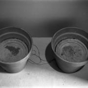 negative IRC.2013.02972 showing Rolf Julius's permanent sound installation, Ash, at the Mattress Factory, 1991.