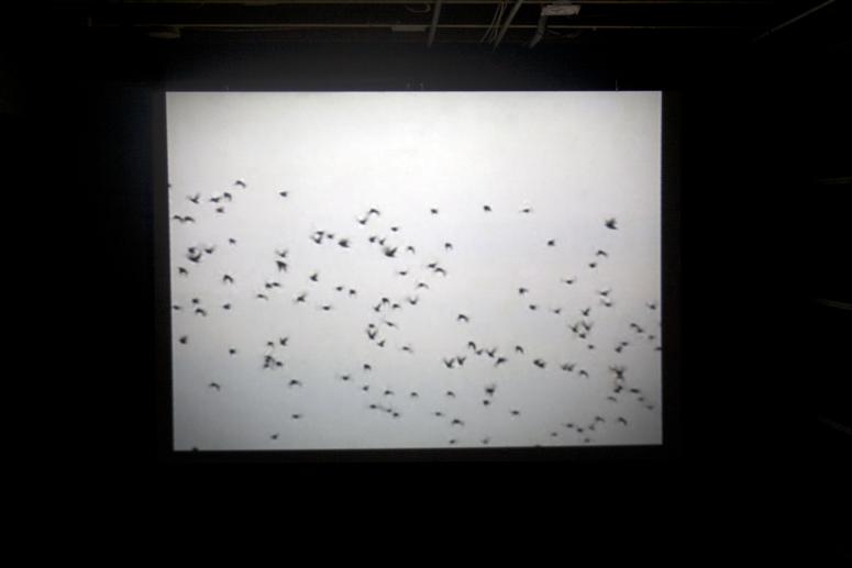 Digital image IRC.2013.01922 showing Francis Crisafio's installation, Excerpts from the Palace of Anxiety, at the Mattress Factory, 2005.